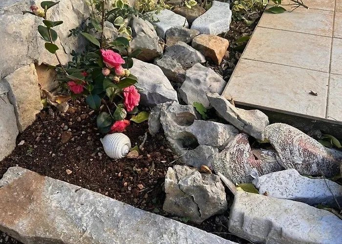 Pogi Srima Appartement